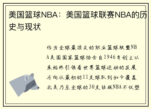 美国篮球NBA：美国篮球联赛NBA的历史与现状